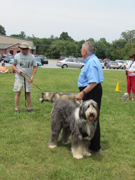 /images/events/43/The tallest Dog.jpg